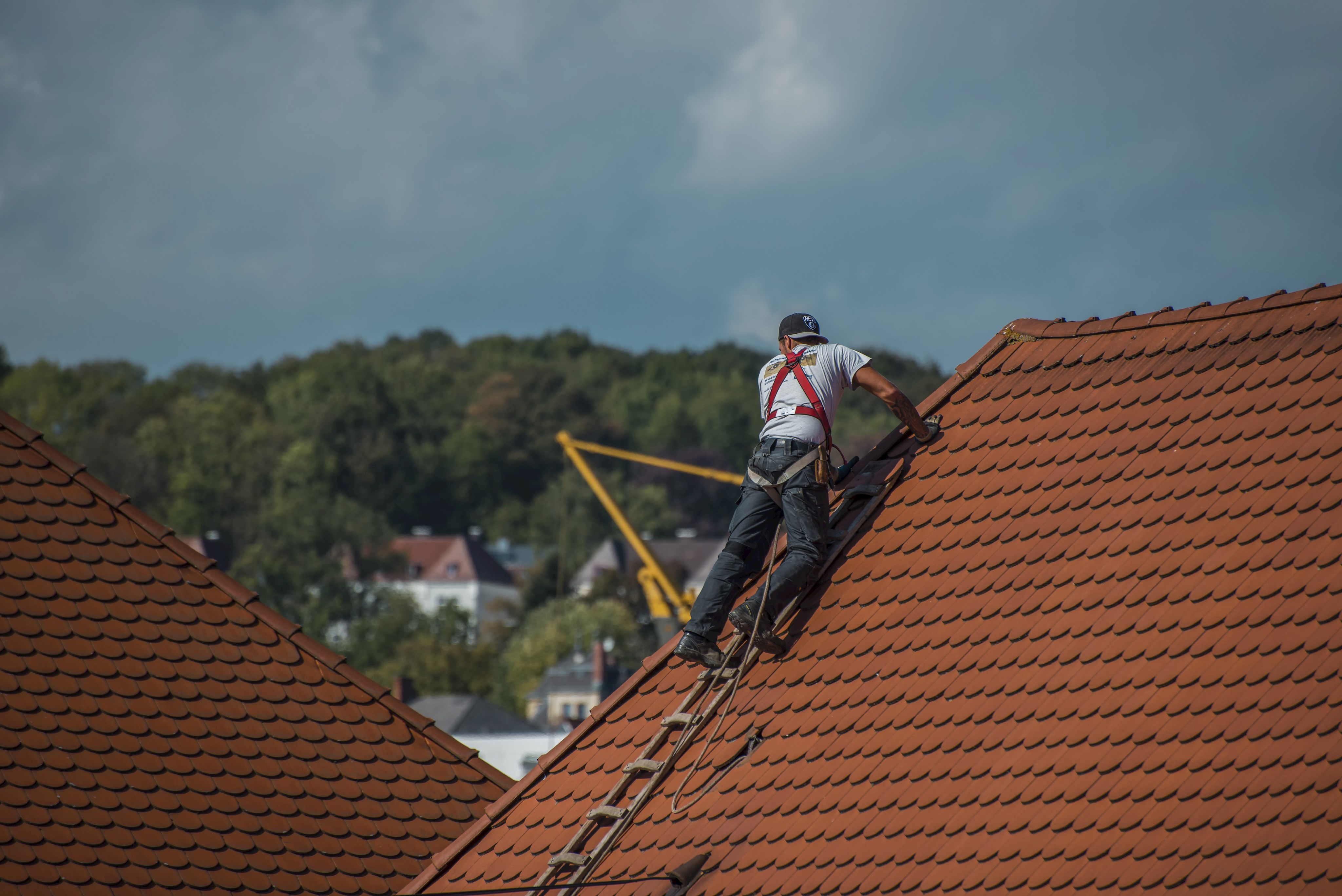 Leider haben wir keinen Alternativtext zu diesem Bild, aber wir arbeiten daran.