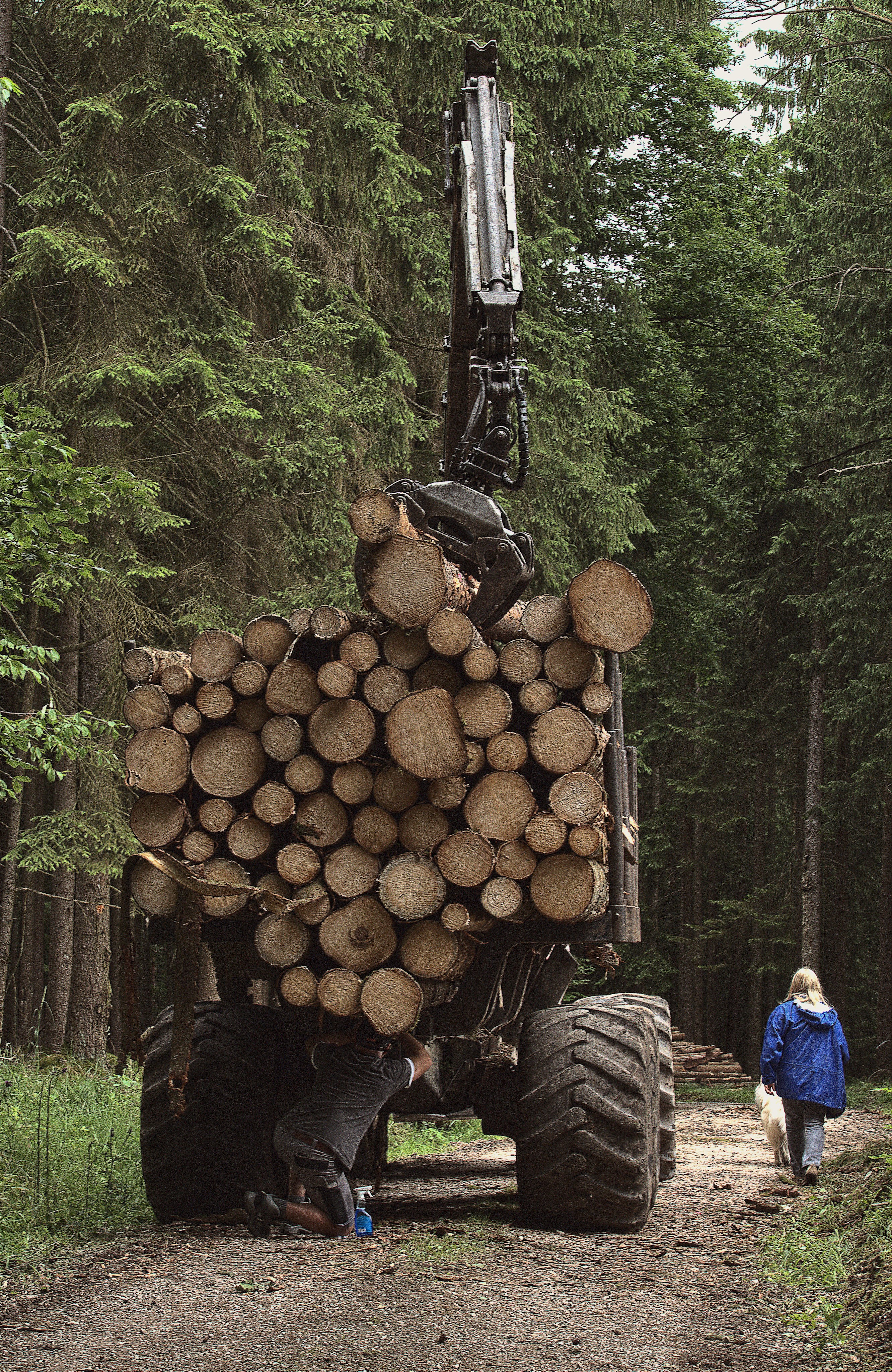 Wegebaumaßnahmen der Staatsforsten