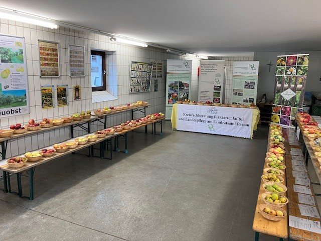 obst1.jpg