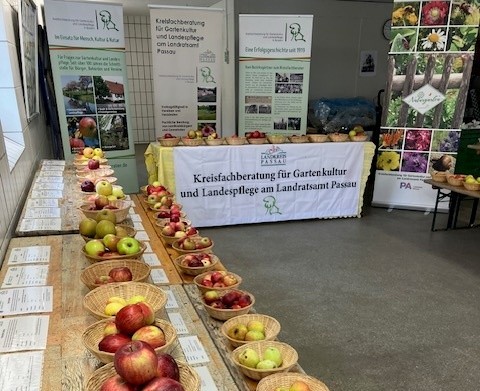 obst2.jpg