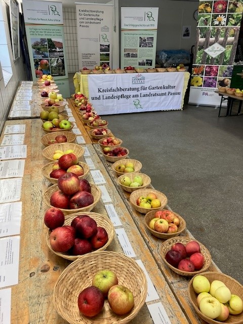 obst6.jpg