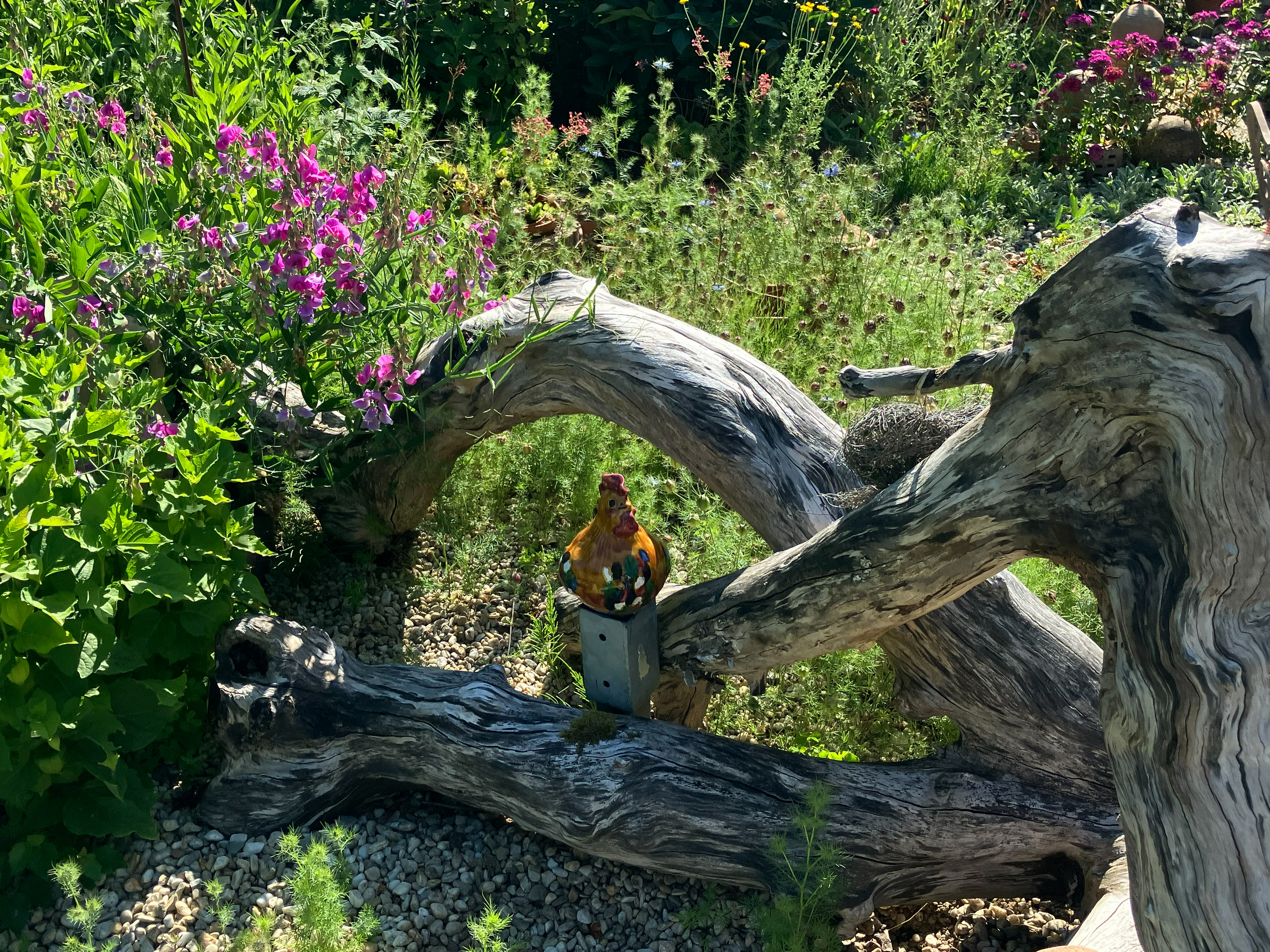 gartentür_0913 Kopie.jpg