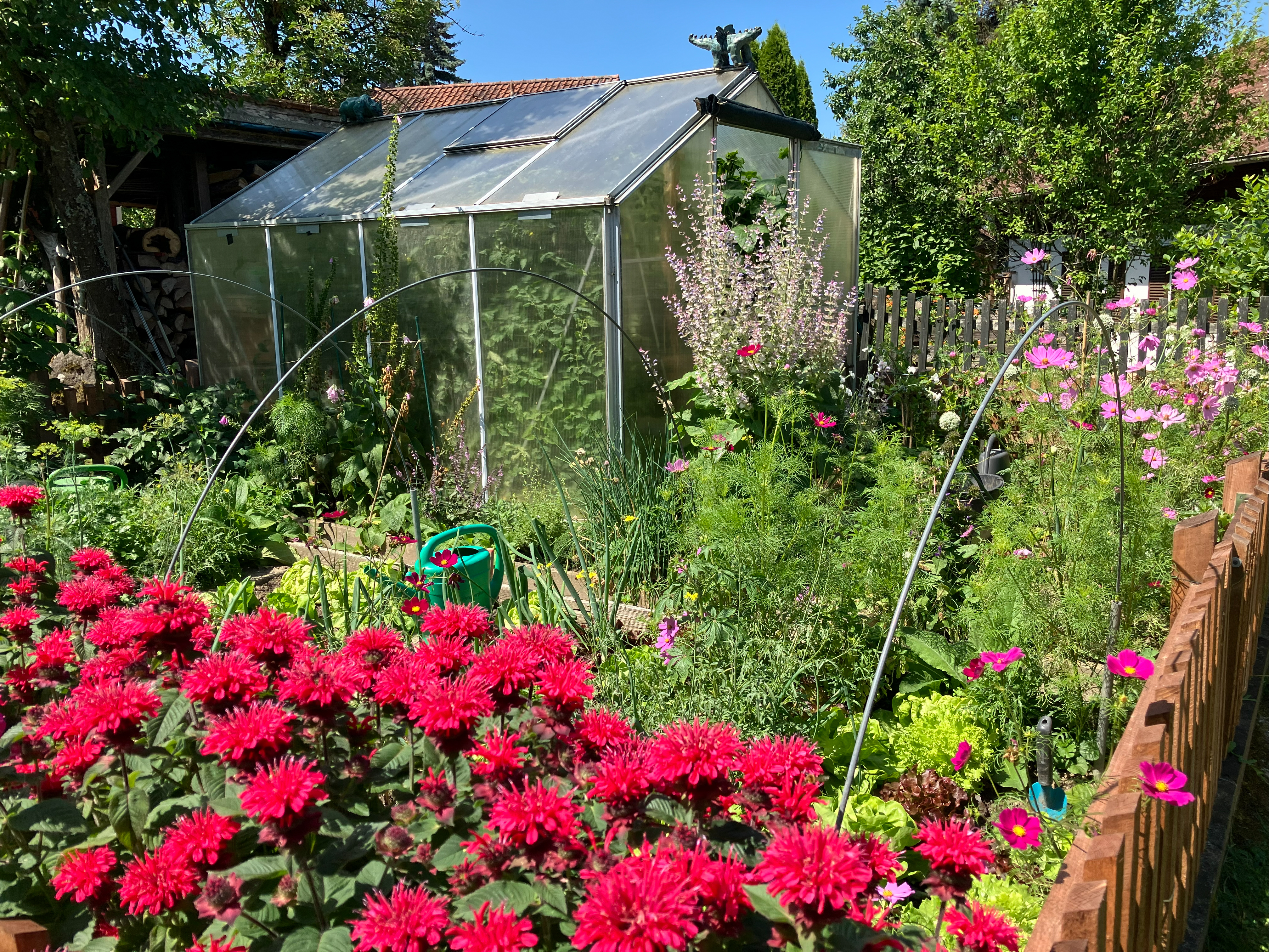 gartentür_0930 Kopie.jpg