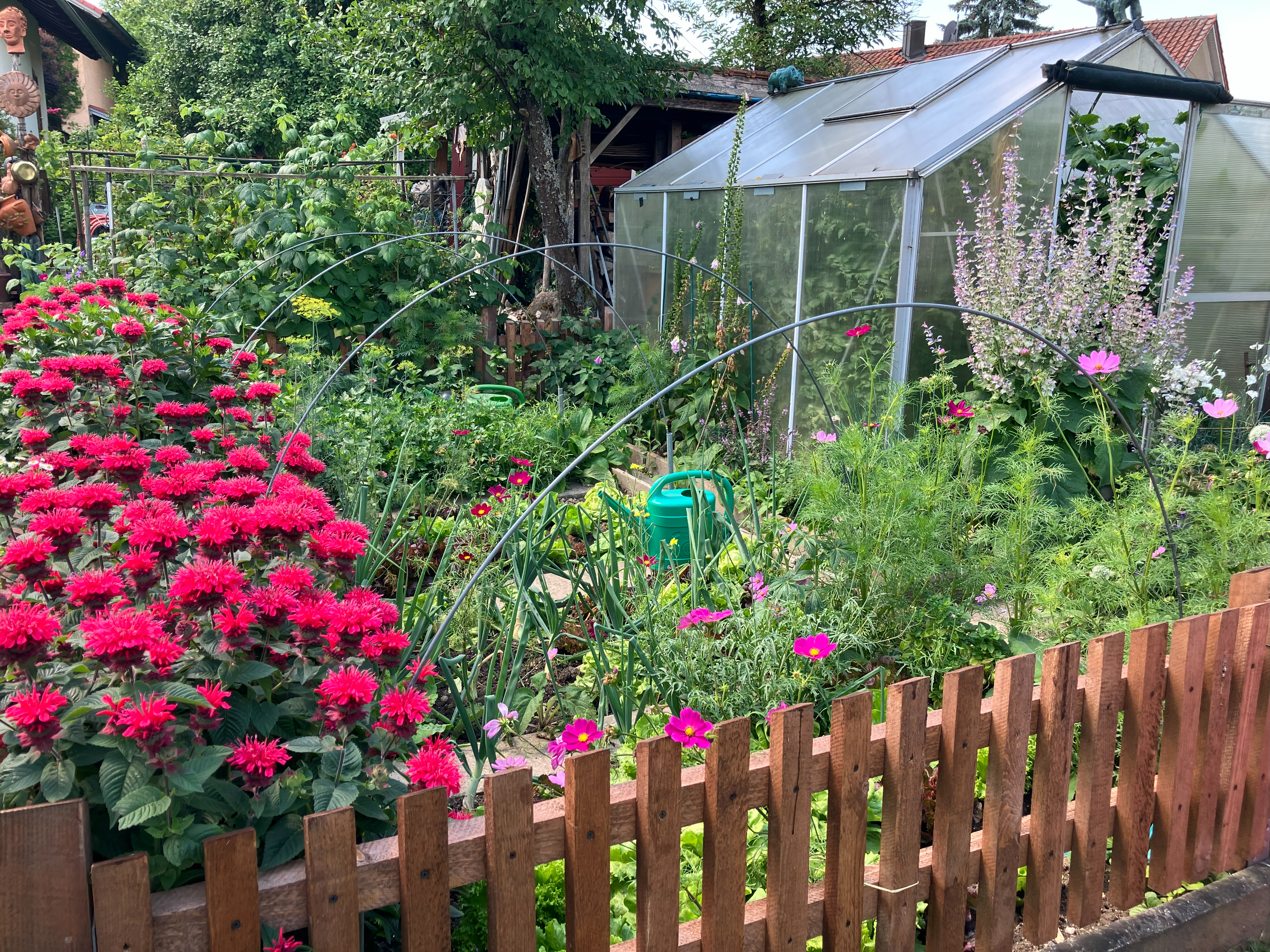 gartentür_0935 Kopie.jpg