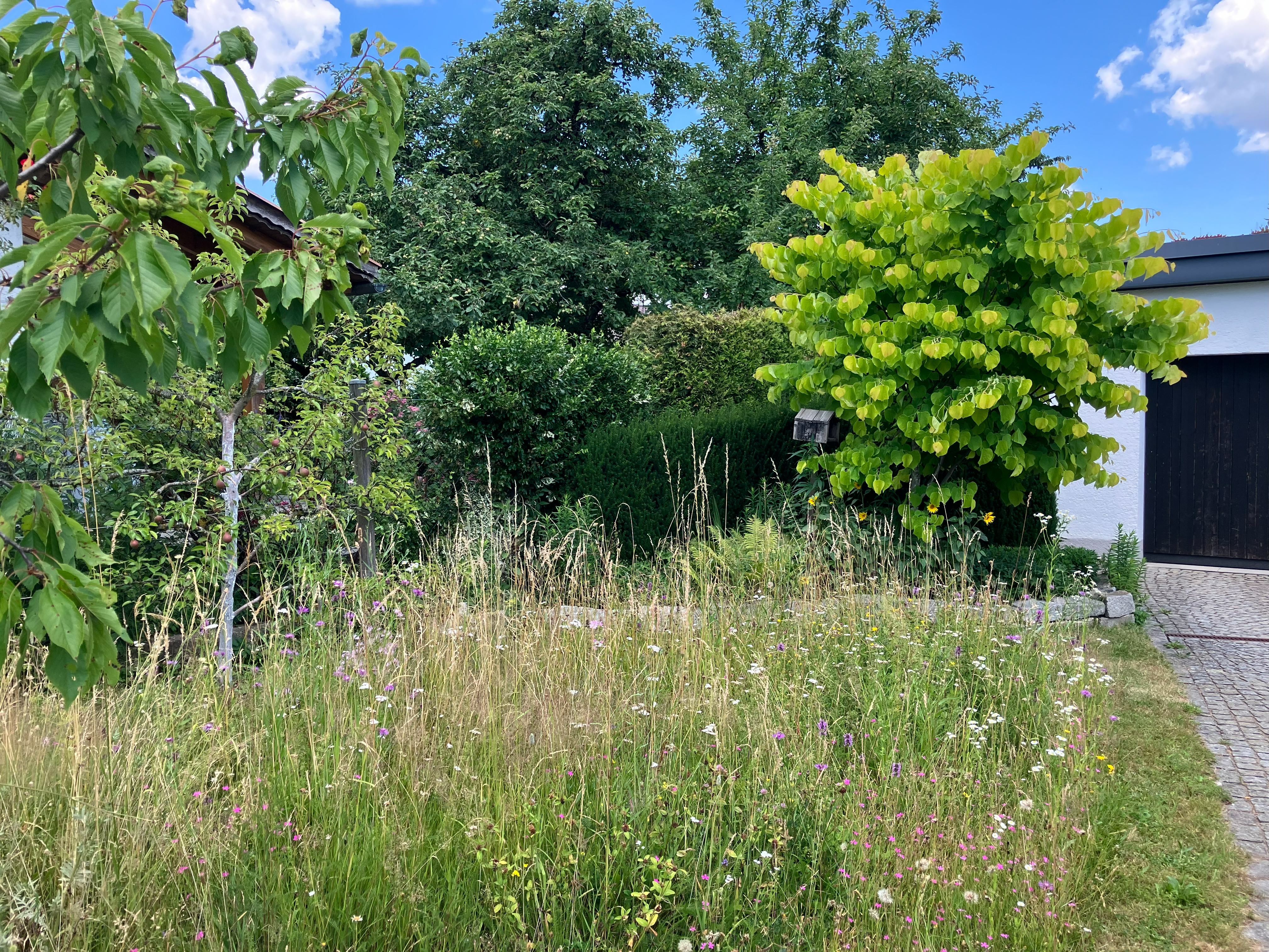 gartentür_0967 Kopie.jpg