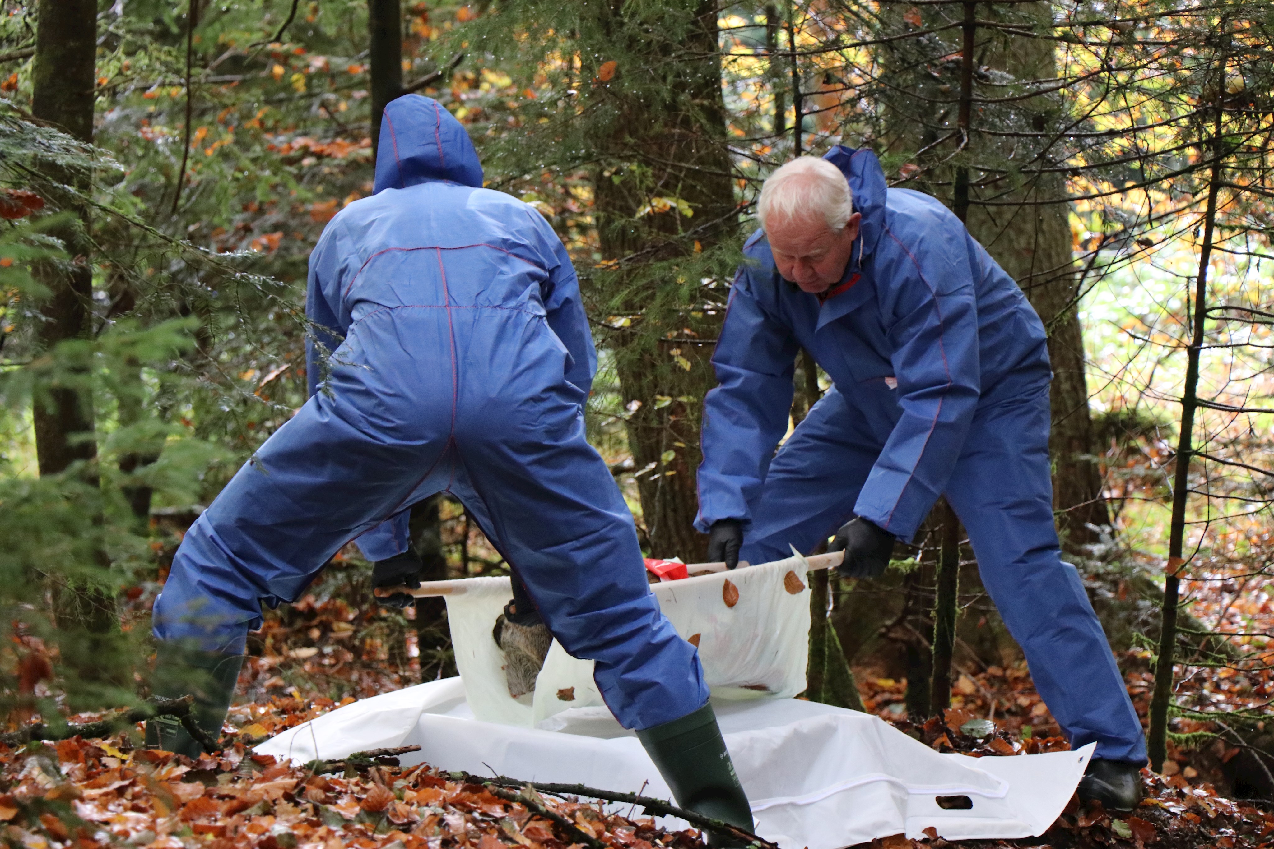 Leider haben wir keinen Alternativtext zu diesem Bild, aber wir arbeiten daran.