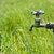 Wasserhahn Wiese.jpg