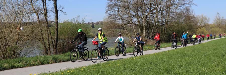 Rund 50 Teilnehmer konnten beim Radltag die verschiedenen Lebensräume entlang der Donau entdecken.