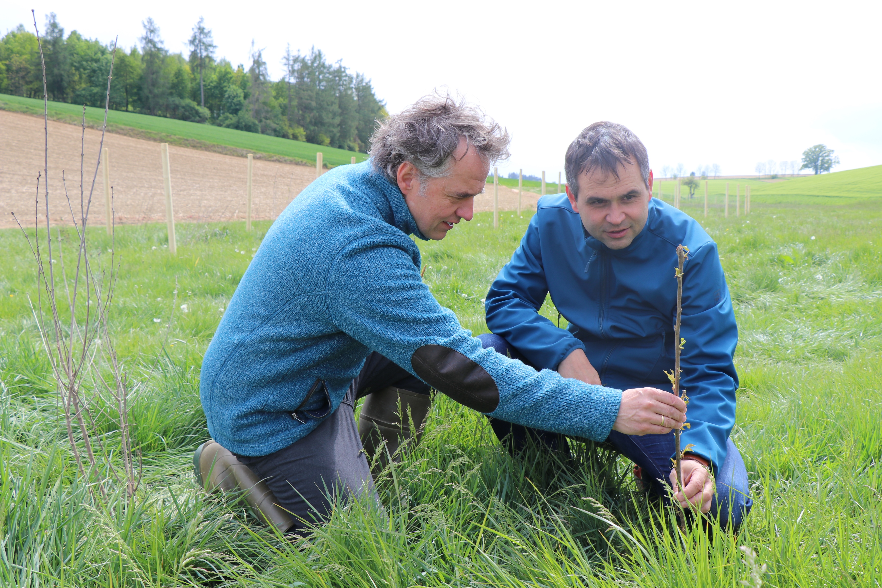 Hecken sind wichtige Lebensräume vor allem für Vögel und Insekten. Geschäftsführer des Landschaftspflegeverbands, Franz Elender (l.) zeigt Stellvertreter des Landrats, Raimund Kneidinger frisch gepflanzte Heckenpflanzen bei Aidenbach.