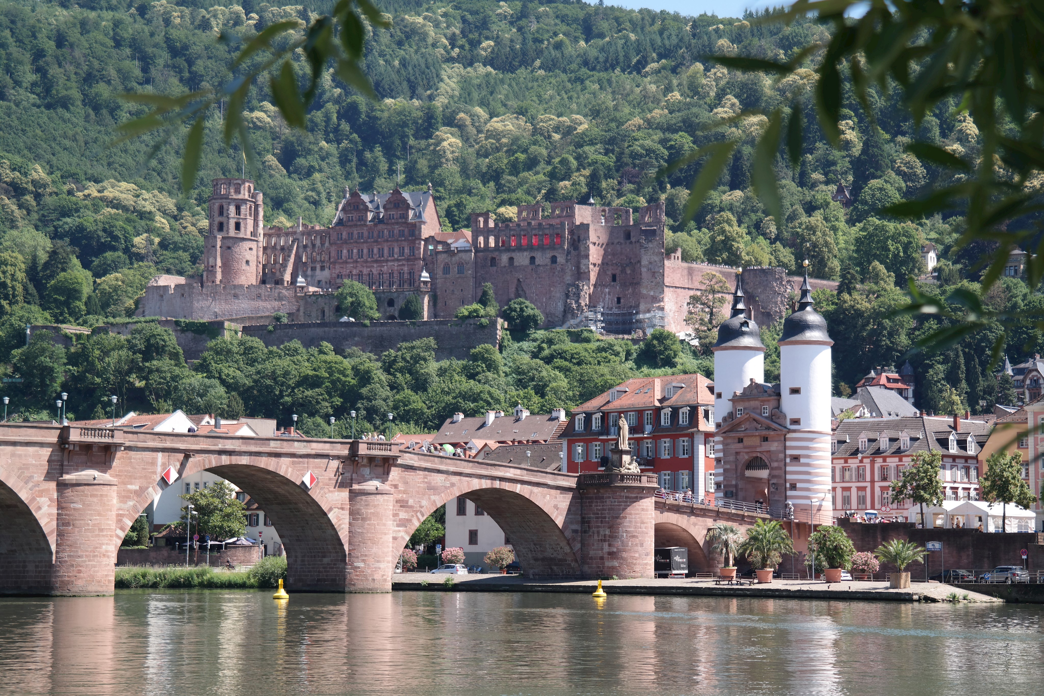 Mit dem Landrat nach Heidelberg